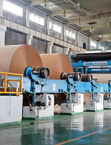  造紙行業     PAPER INDUSTRY