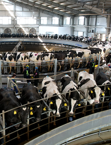 養殖行業  BREEDING INDUSTRY